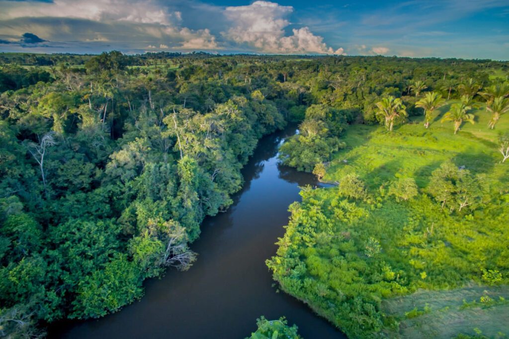 Cruzeiro rio Amazonas brasil reveillon