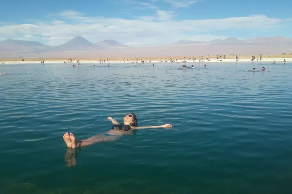 Chile Atacama laguna cejar